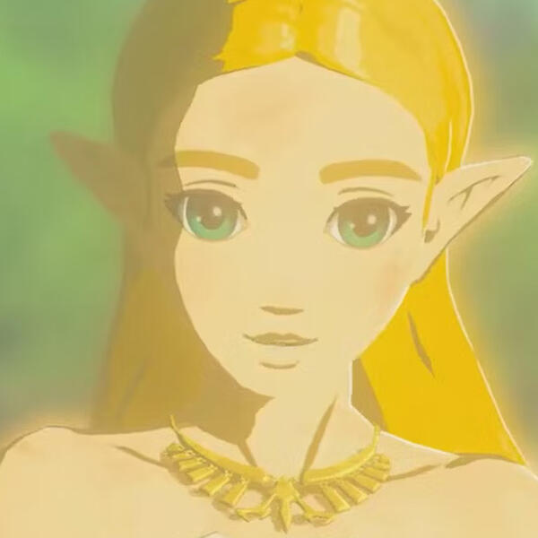 a screenshot of zelda from the end of breath of the wild